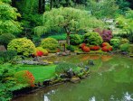 s-ja-pond-a_edited-1